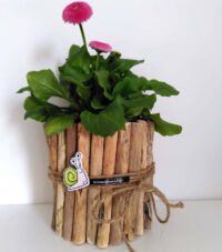 Blumengeschenk mit Schnecke