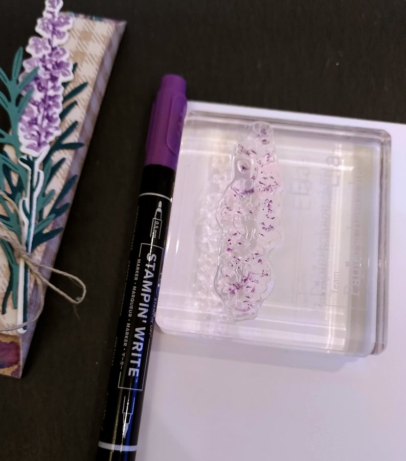 Lavendel stempeln mit Stampin' Write Marker Amethyst