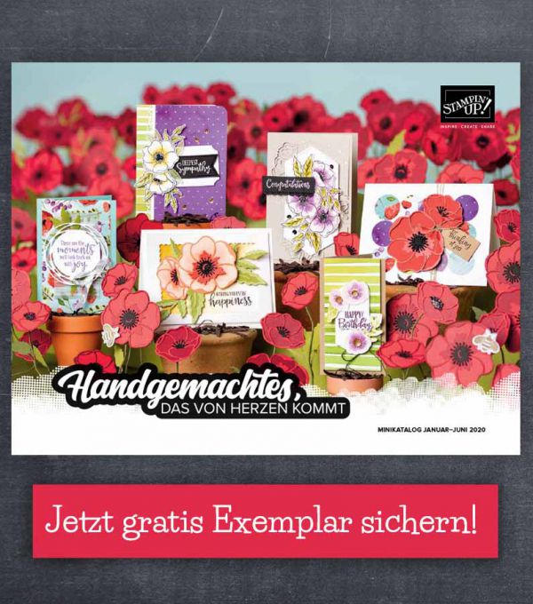 stampin-up-minikatalog-2020-beitragsbild Minikatalog 2020 von stampin up gratis bestellen